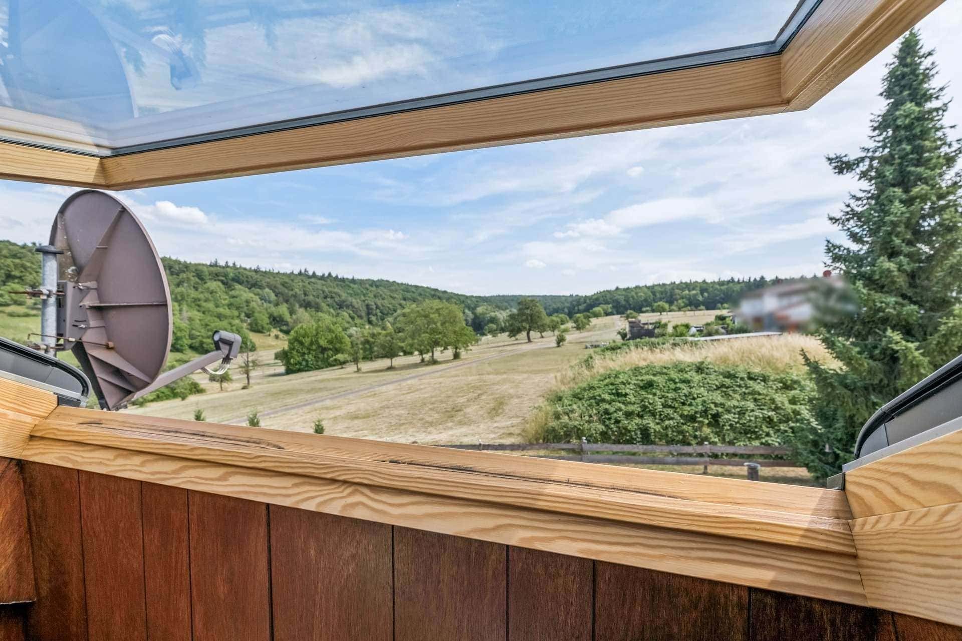 Blick ins Grüne